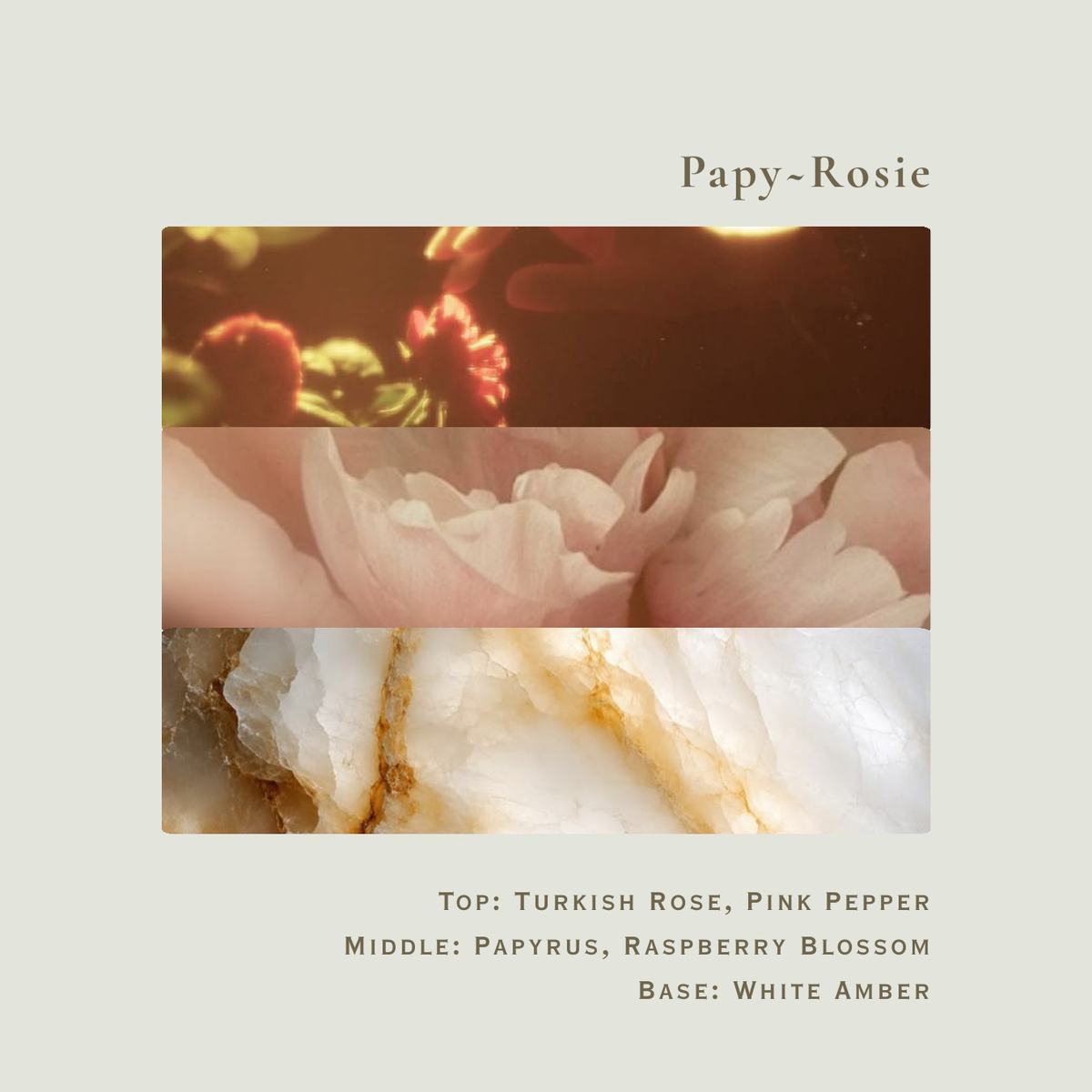 02 Papy ~ Rosie scent notes. Top: Turkish Rose, Pink Pepper. Middle: Papyrus, Raspberry Blossom. Base: White Amber.