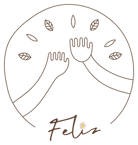 Feliz logo