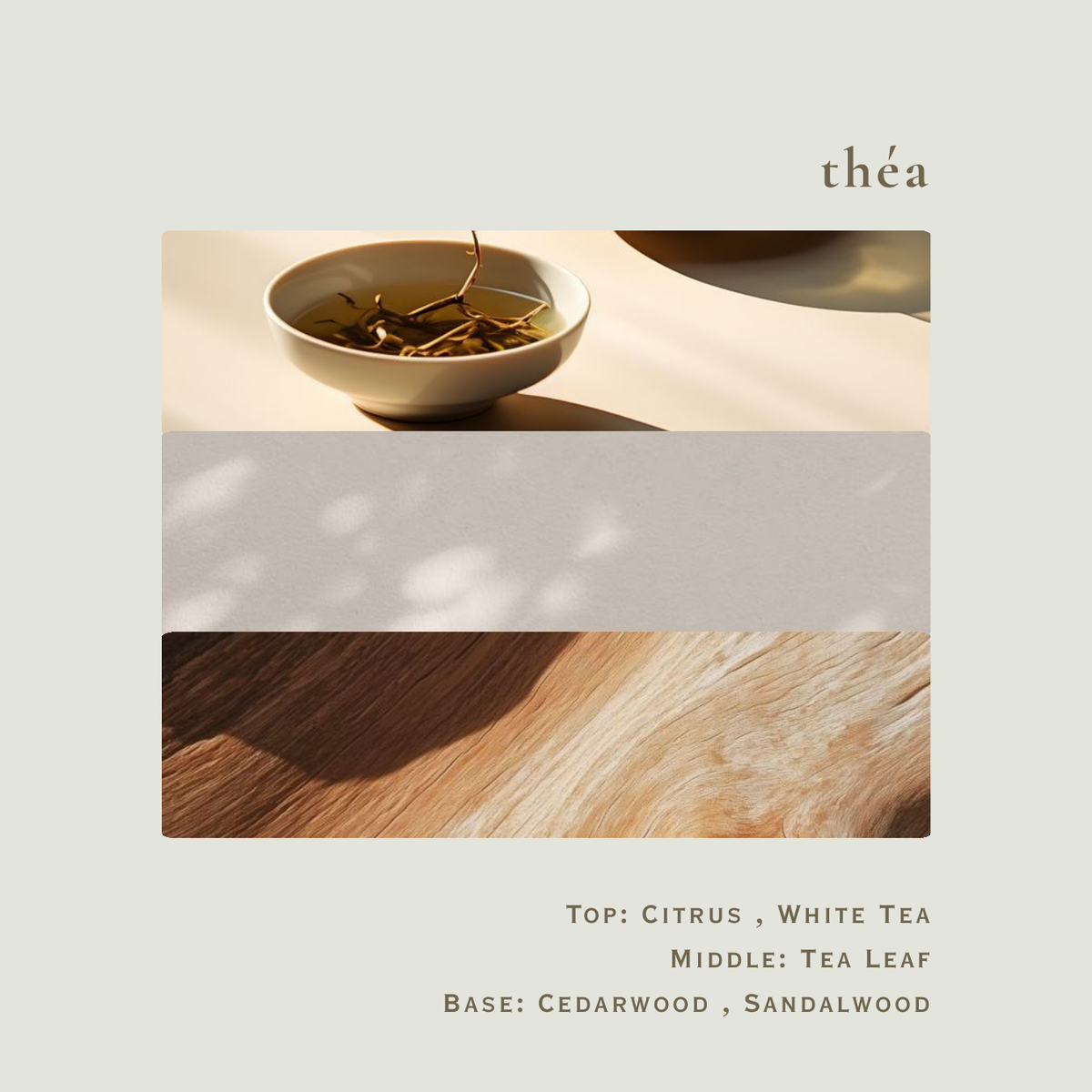 01 théa scent notes. Top: Citrus, White Tea. Middle: Tea Leaf. Base: Cedarwood, Sandalwood.