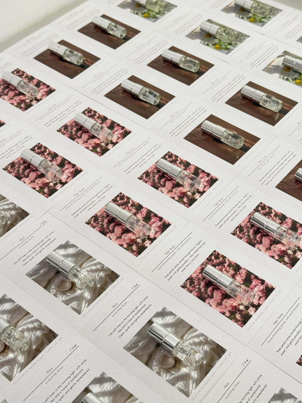 Rows of Feliz scent cards, each with a 2ml perfume vial on top